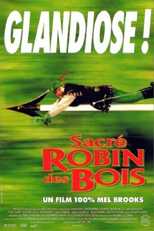 Sacre Robin Des Bois Poster